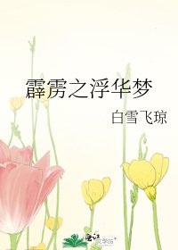 霹靂之浮華夢